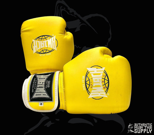 PRE-ORDER | BOXING GLOVES | PU LEATHER | YOUTH GLOVES